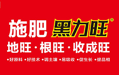 �������B�Ļ��W(xu��)���I(y��)���F(tu��n)�ɷ����޹�˾